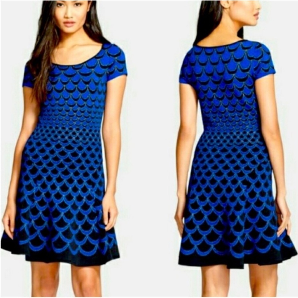 DIANE VON FURSTENBERG Alina Acorn Moon Dress Blue Black Metallic Fit & Flare